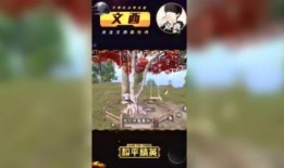 和平精英文西最新爆料,最新爆料揭秘游戏幕后故事