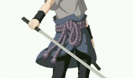 永恒佐助爆料视频大全集,揭秘忍者世界的秘密与真相