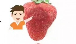 草莓尖尖爆料视频,揭秘幕后故事